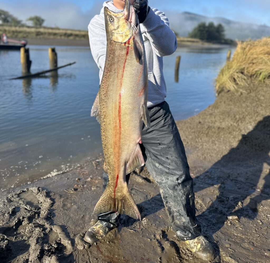 Angler holding a Chinook salmon on a muddy riverbank after a successful drift fishing session