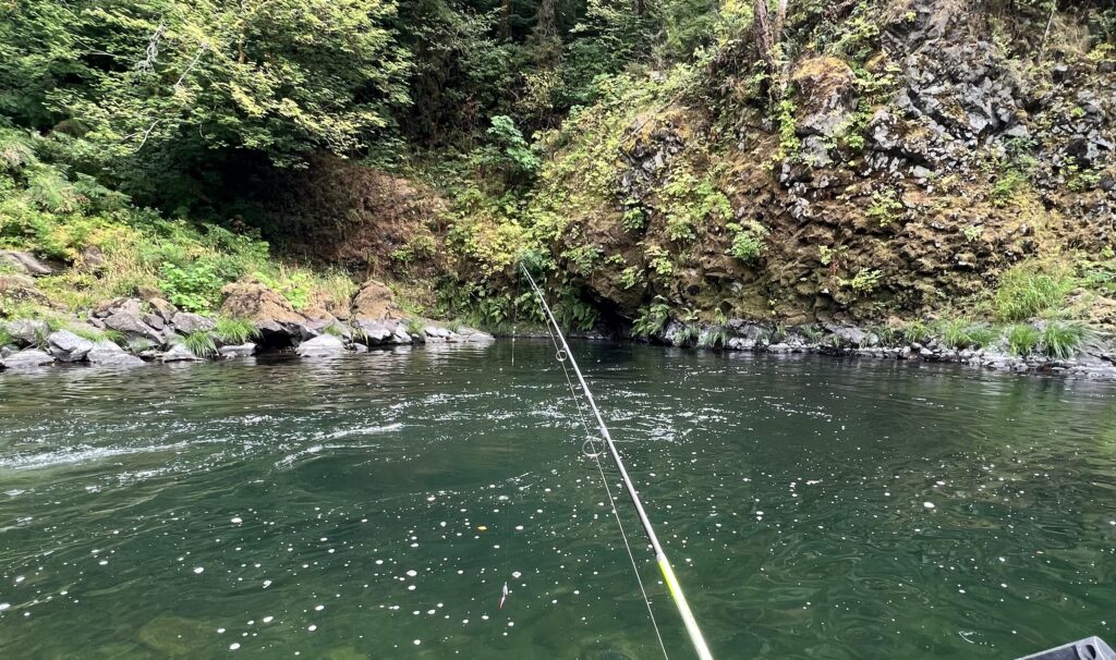 Fishing rod pointed at deep green holding water in a salmon river slot